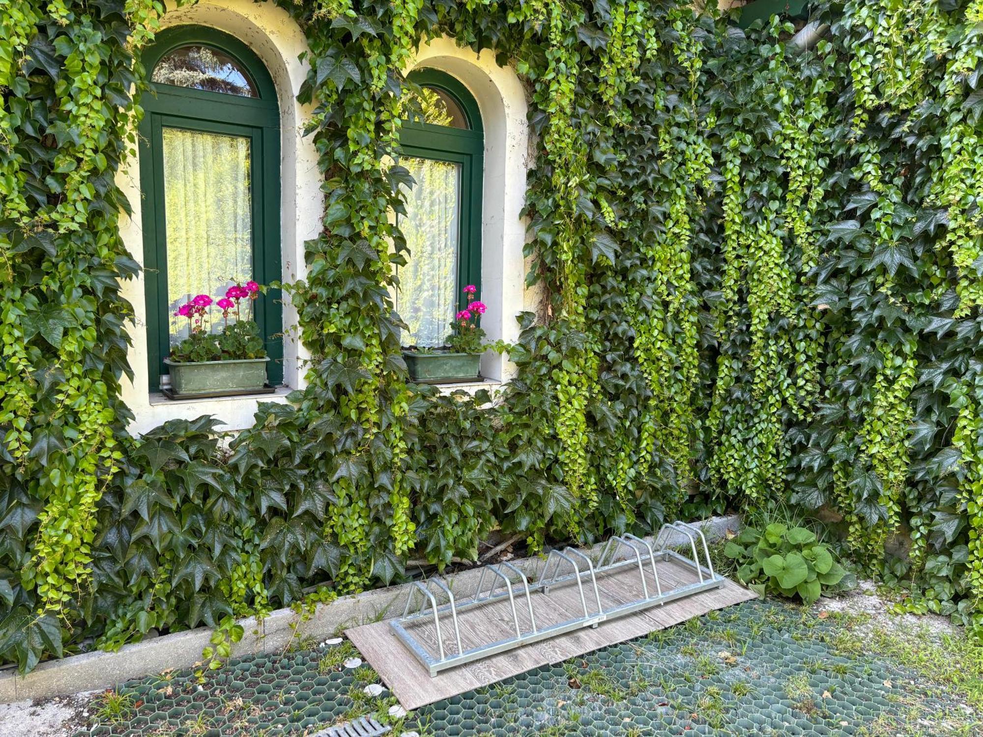 Szalay Villa Veszprém Eksteriør billede